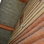 RSPB Log cabin for case study