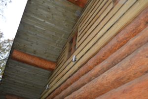 RSPB Log cabin for case study